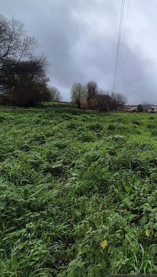 Terreno en venta en Matamá - Beade - Bembrive - Valádares - Zamáns en Vigo