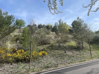 Terreno en venta en Villalbilla pueblo en Villalbilla