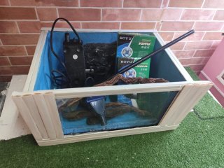 Acuario 50 l con accesorios listo para usar
