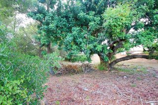 Terreno en venta en Casalot en Mont-Roig del Camp