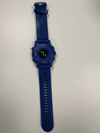 Garmin Forerunner 255 Azul