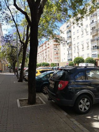 Local comercial en alquiler en Colores - Entreparques en Sevilla