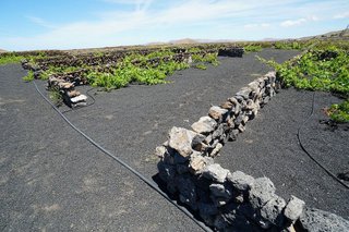 Terreno en venta en Tinajo