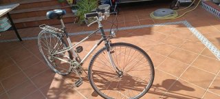 Bicicleta de paseo clásica