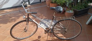 Bicicleta de paseo clásica