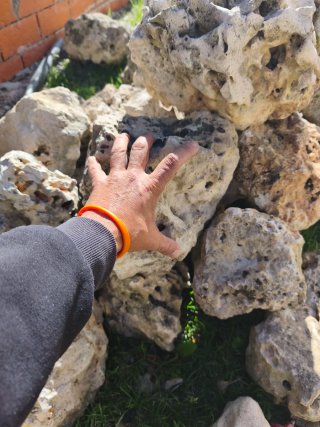 Rocalla para jardín y patio