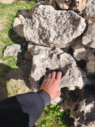 Rocalla para jardín y patio