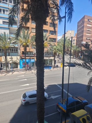 Oficina alquiler centro Mercado Alicante