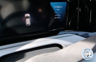 Volkswagen Golf 8 2.0 TDI  115cv 6v. 2021