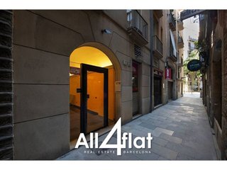 Estudio en alquiler en Sant Pere, Santa Caterina i la Ribera en Barcelona