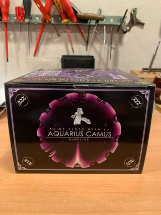Saint Seiya Camus Acuario Figura