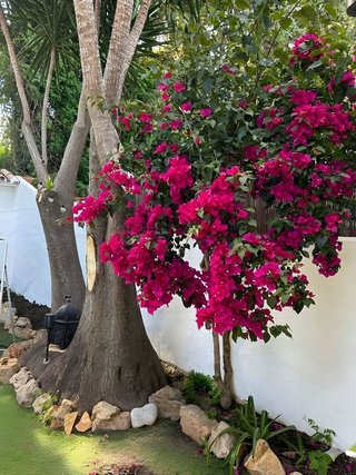 Casa adosada en venta en Nueva Andalucía centro en Marbella