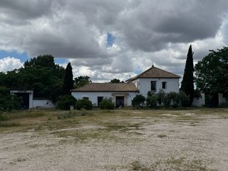Hotel en venta en Marchena