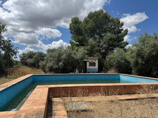 Hotel en venta en Marchena