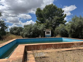 Hotel en venta en Marchena