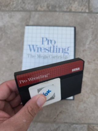 Pro Wrestling - Sega Master System