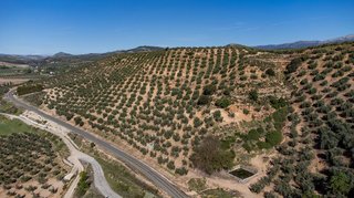 Terreno en venta en Iznalloz