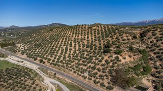 Terreno en venta en Iznalloz