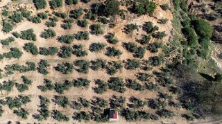 Terreno en venta en Iznalloz