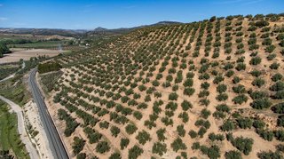 Terreno en venta en Iznalloz