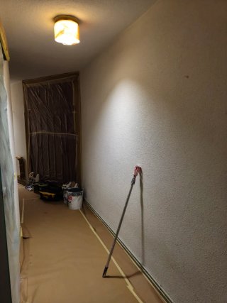 pintor profesional