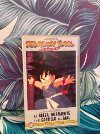 DragonBall Bella Durmiente en el castillo del mal