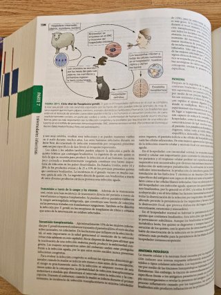 HARRISON -2 Tomos (Principios Medicina Interna)