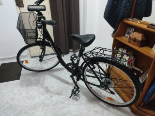 Bicicleta negra con cesta y portabultos