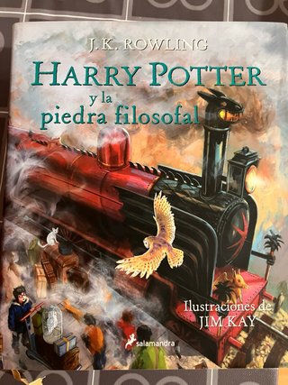 Libros ilustrados Harry Potter.