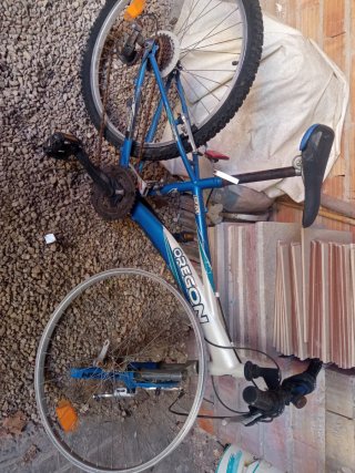 Bicicleta Infantil Oregon.