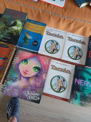 Lote de libros juveniles