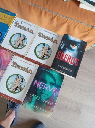 Lote de libros juveniles