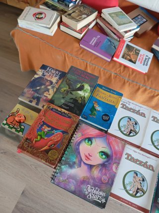 Lote de libros juveniles
