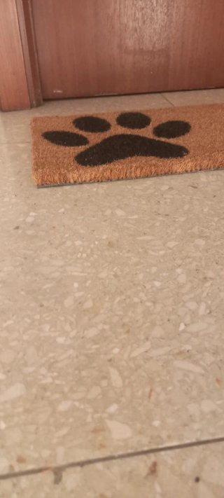 Tappeto d'ingresso "La mia casetta" con impronte di cane 60x20 cm