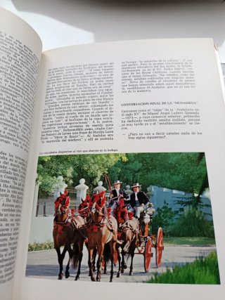 Libros Los Vinos de Andalucía