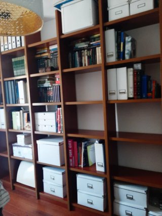 Librería y escritorio nogal