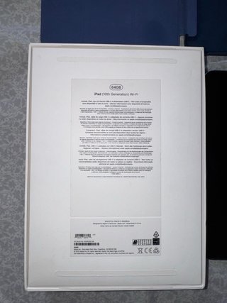 iPad di decima generazione