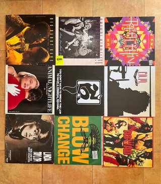 Lote 27 Vinilos