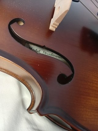 VIOLA DE 15,5 PULGADAS