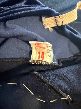 Tutú de ballet azul con detalles dorados