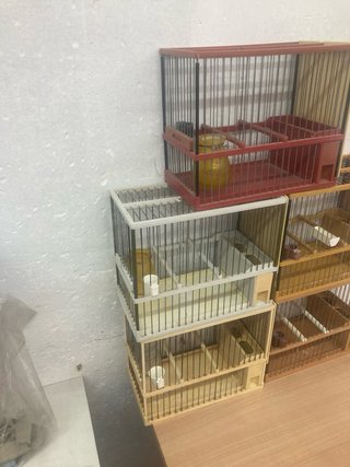 5 Jaulas Metálicas para Pájaros