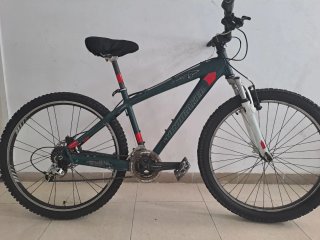 Bicicleta Mondraker Play1 Verde