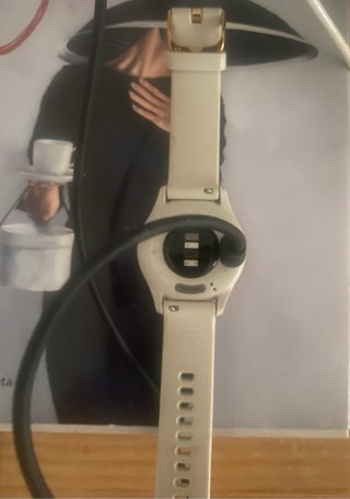 Reloj Garmin Vivomove 3S Beige/Oro Rosa + Cargador