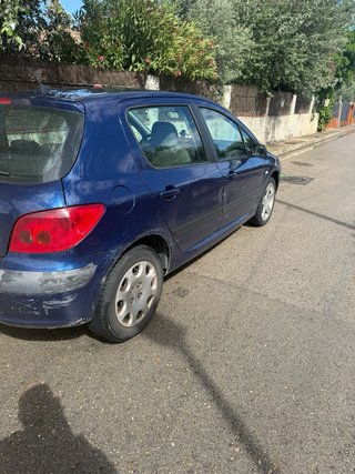Peugeot 307 2002