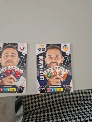 Panini Entrenadores - Colección de Cromos