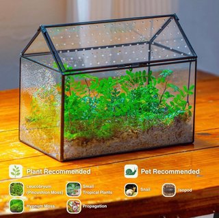 Terrario de cristal estilo invernadero