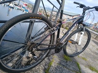 Bicicleta de montaña