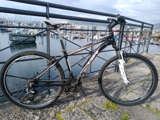 Bicicleta de montaña