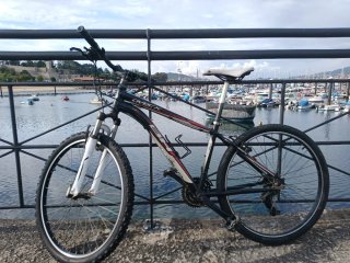 Bicicleta de montaña
