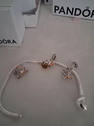 Charm plata ley para pulsera Pandora